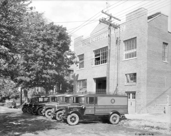 View across street towards a fleet of trucks parked at an angle against the curb, in front of a large brick building for Orange Blossom Laundry.