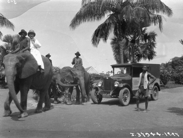 "Sahara" truck preceded by men riding two elephants near coconut trees in a village in the Sahara desert. In the background is the roof of a large, perhaps brick building behind tall plants.