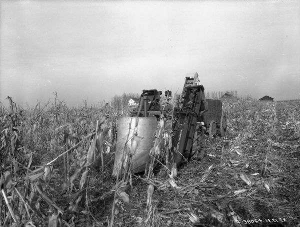 View from front of a man driving a tractor with a McCormick-Deering corn picker (perhaps experimental) mounted on the front in a cornfield. Farm buildings are in the background.