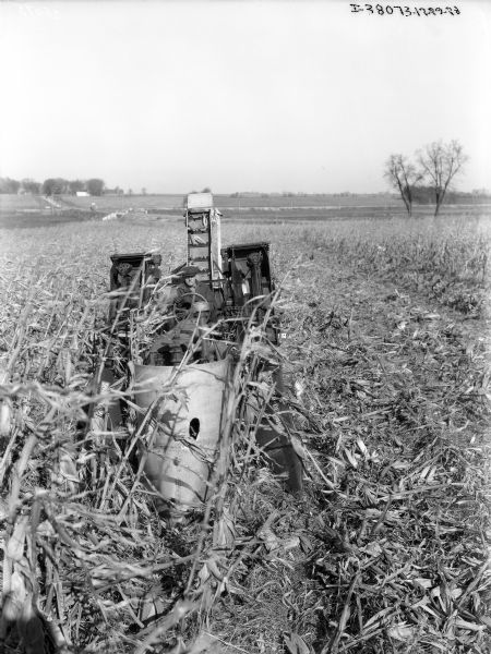 Slightly elevated view from front of a man driving a tractor with a corn picker on the front. The corn picker may be experimental. In the far background is a road and farm buildings.