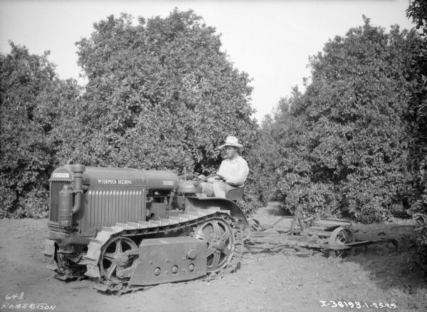 A man is driving a McCormick-Deering continuous track tractor in an orchard. The tractor is pulling an agricultural implement.