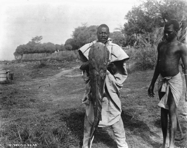 Two men are standing together outdoors. The man on the left is holding a large fish in front of him. The photograph may have been taken in Africa.