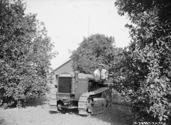 A man is driving a McCormick-Deering continuous track orchard tractor among trees. There is a barn in the background.
