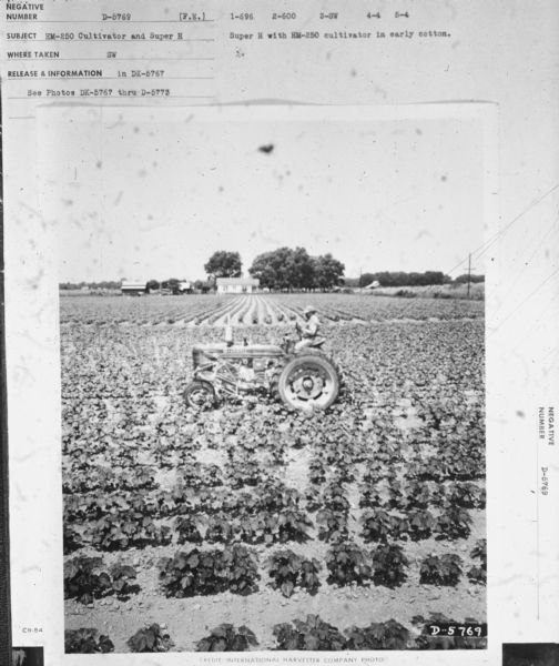 Left side view of a man driving a Super H tractor.
Subject: "HM-250 Cultivator and Super H." Where Taken: "SW." Information with photograph reads: "Super H with HM-250 cultivator in early cotton."