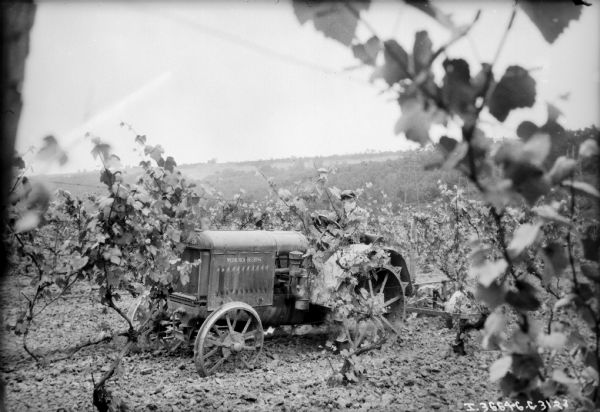 Left side view of a man using a McCormick-Deering 10-20 tractor to cultivate an orchard.