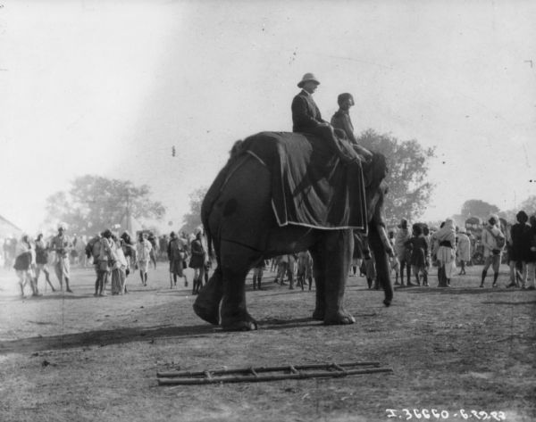 Two men are sitting on an elephant. A crowd of people are in the background. A ladder is lying in the foregound.