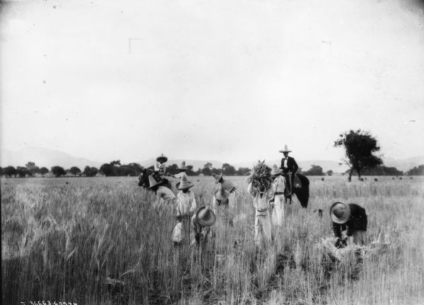 View across field towards two foremen on horseback.