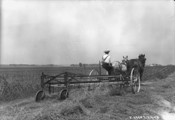 Rear view of a man driving a horse-drawn McCormick-Deering side rake.
