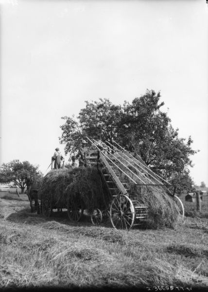 View towards a group of men using a hay stacker loader to fill a horse-drawn wagon.