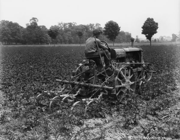 Three-quarter view from right rear of a man using a Farmall tractor to pull a cultivator in a field.