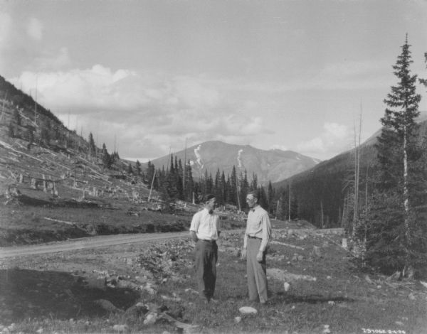 Two men are standing in the foreground, with a road and cleared forest behind them. There is a mountain peak in the distance.