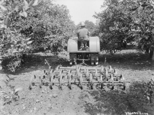 Rear view of a man using a tractor to pull a disk harrow in an orchard.