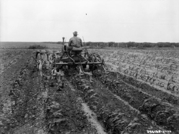 Rear view of a man using a Farmall mounted cultivator in a field.