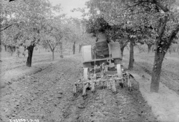 Rear view of a man using a tractor to pull a cultivator through an orchard.