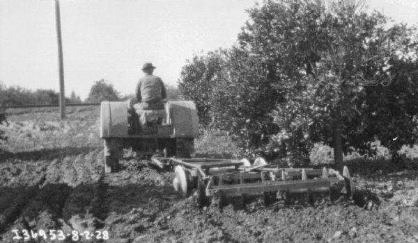 Rear view of a man driving a tractor to pull a disk harrow in a field or orchard.