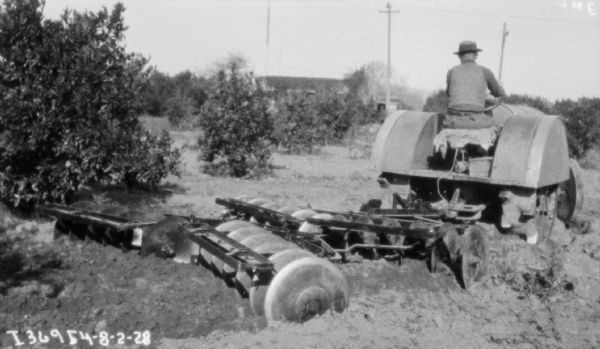 Right side view of a man using a tractor to pull a disk harrow in a field or orchard.
