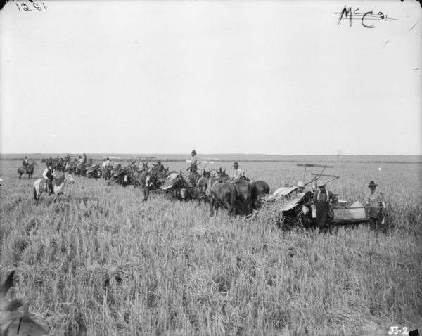 A large group of men are in a field with a long line of horse-drawn binders.