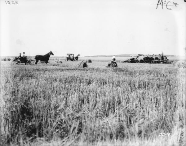 View across a partially harvested field towards a horse-drawn binder. There are two horse-drawn carriages in the field.