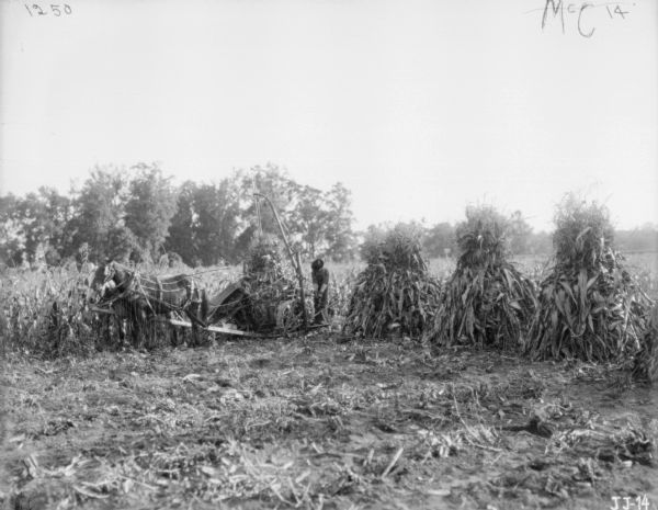 A man is standing behind a horse-drawn corn binder in a field. The horses are wearing fly-nets. There are corn shocks on the right.