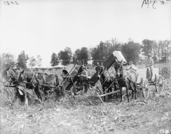 Man with Horse-Drawn Corn Binder | Photograph | Wisconsin Historical ...