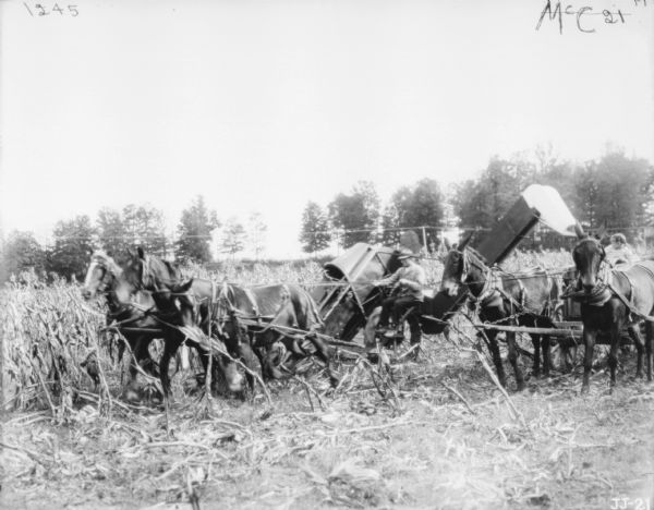 A man is using a horse-drawn corn binder in a field. On the far right a young girl is sitting in a horse-drawn wagon.