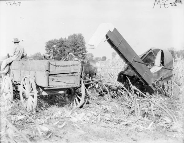 Rear view of a man using a horse-drawn corn binder on the right, and a man sitting on a horse-drawn wagon on the left.