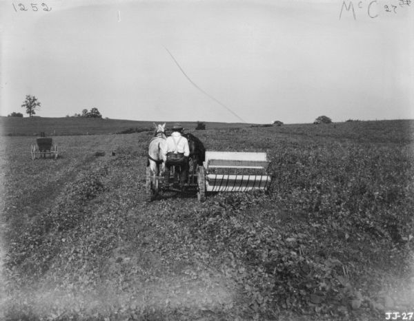 Rear view of a man harvesting beans in a field. In the background on the left is a horse-drawn buggy.