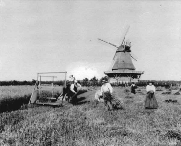 View of what may be a reenactment of old harvesting methods. Men and women are working in a field, and a young boy is riding a horse-drawn reaper. There is a windmill in the background.