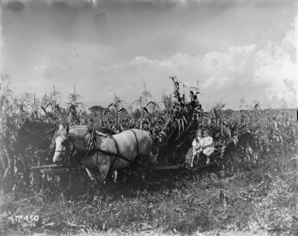Two young barefoot girls sitting in the driver's seat of a horse-drawn corn binder in a cornfield in the vicinity of Chicago.