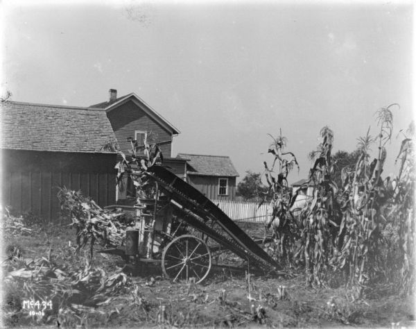 Horse-drawn corn picker parked in a cornfield. Farm buildings are in the background.