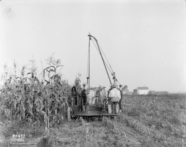 Rear view of a man operating a horse-drawn corn binder in a cornfield. Farm buildings are in the distance on the right.