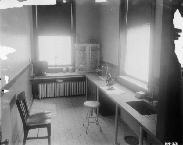 Interior view of a laboratory. A desk on the right has a sink, equipment and a microscope on the right in front of a window.