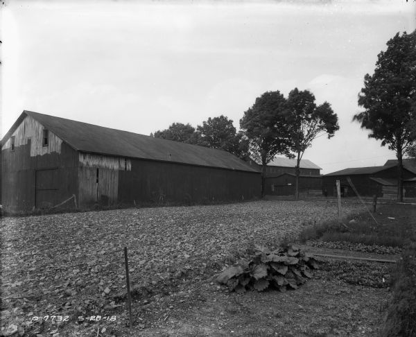 View of garden, with industrial buildings in the background. Two men are standing near a building in the background.