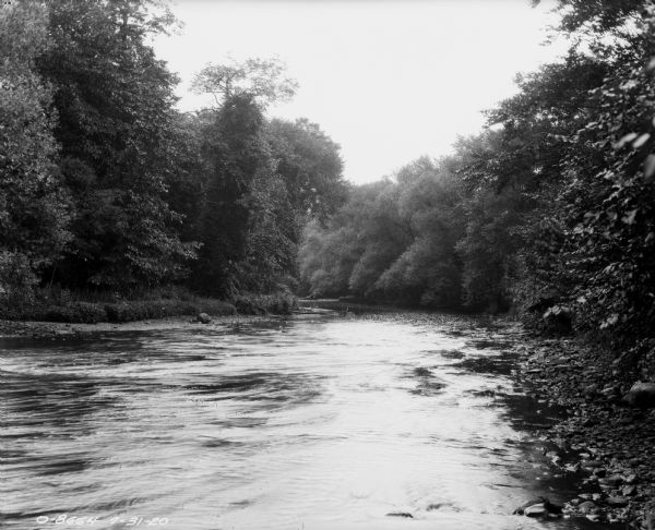 View down river, with trees along the banks.