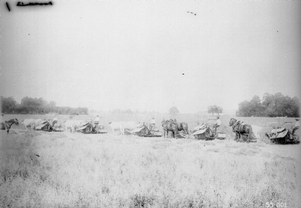 View across field towards five men driving five McCormick binders drawn by teams of two oxen, and teams of two horses. There is a man on horseback on the far left. Location: France.