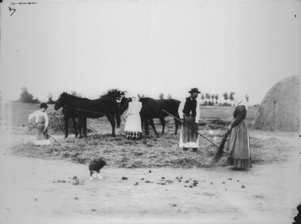 A man, woman, boy and girl are posing while working in a field near three horses. There is a dog in the foreground, and a large haystack on the right. Location: France.