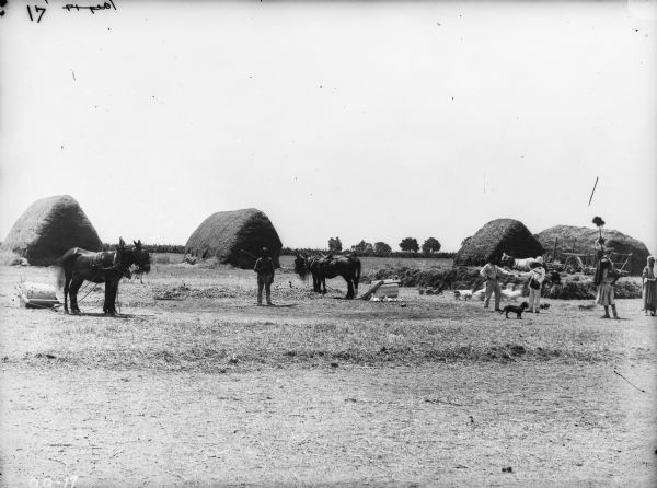 View of a haying operation, with a farmer and a constable (?) exchanging a piece of paper. Other men are standing in the field near large stacks of hay. A team of donkeys on the left are pulling a stone roller. There are geese and ducks, donkey, and a team of horses. Location: Algeria.