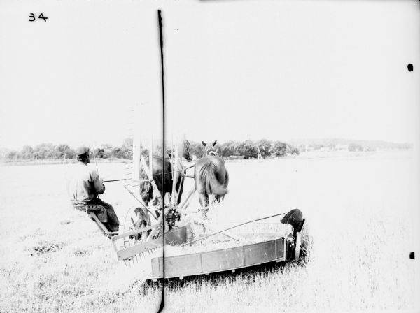 Man with Horse-Drawn Reaper | Photograph | Wisconsin Historical Society