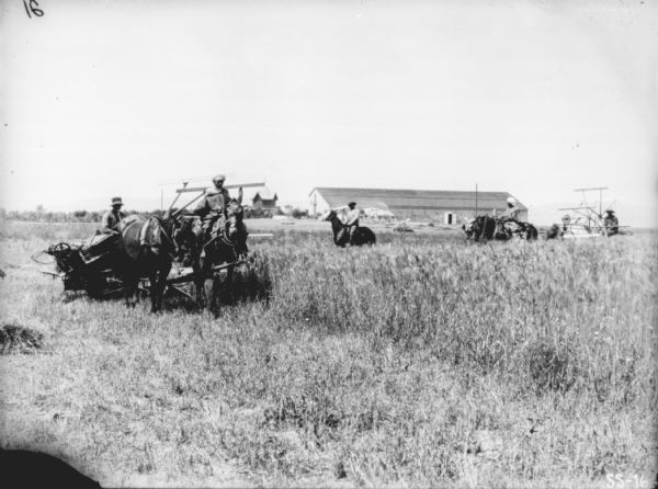 Two Binders in Field | Photograph | Wisconsin Historical Society