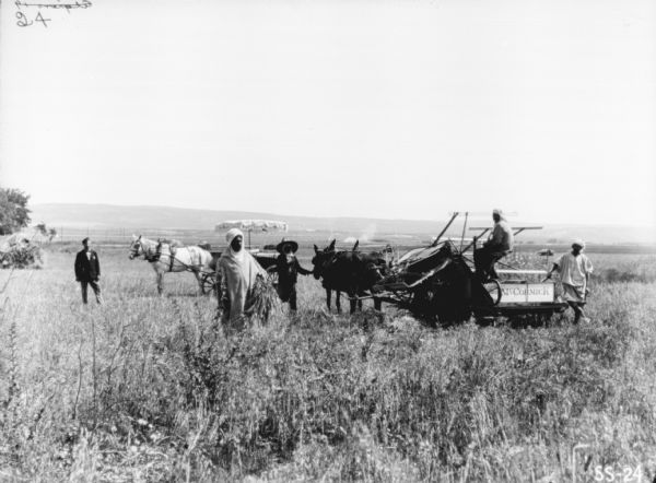 View across field towards a man on a horse-drawn Binder. Three other men are standing nearby, and another man is standing near a horse-drawn carriage with an umbrella. Hills are in the distance. Location: Algeria.