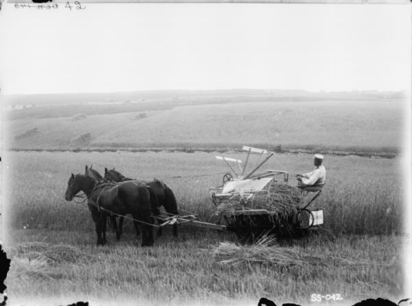 View down slope towards a man on a horse-drawn Binder. Harvested fields are in the background.