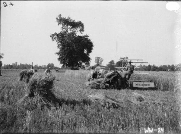 Men are working in a field, assisting with grain shocks, while a man on the left is driving a horse-drawn Binder.