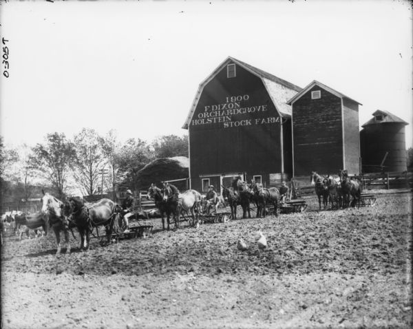 View towards four men, each one with two-horse teams pulling disk harrows. Behind the teams is a barn with a sign that reads: "1900, F. Dixon, Orchard Grove, Holstein Stock Farm." Chickens are in the foreground, and cows are in the background on the left.