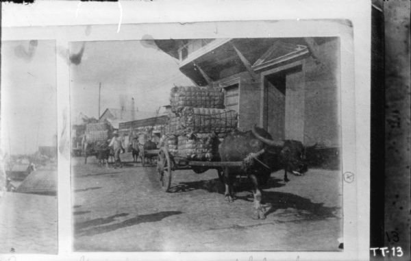 Ox cart drawing bales of sisal near a large building.