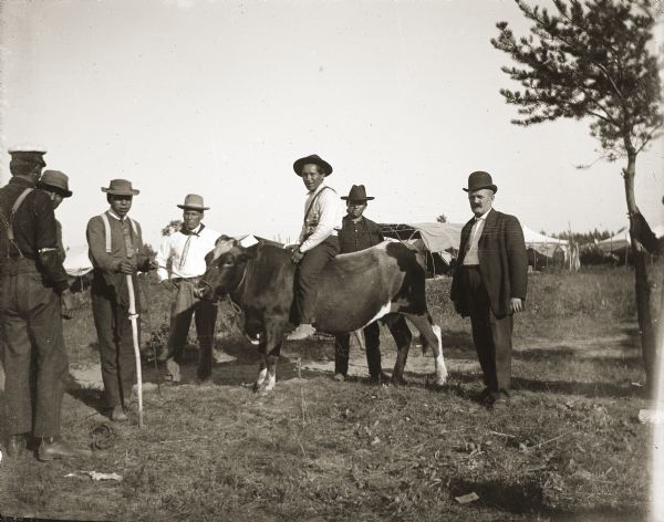 Frisk Cloud (MauhHeTaChaEKah) is riding at cow at a powwow. Watching Frisk, left to right, are two unidentified men, Albert Thunder (CheNunkEToKaRaKah), George Monegar (EwaOnaGinKah, and Andrew Bigsoldier (WaConChaShootchKah and an unidentified white man. All the men are wearing hats, and in the background are Ho-Chunk lodges. They are members of the Blue Wing Band with a steer for barbecuing for a feast at Valley Junction on the Wyatt and Purdy Meadow.
