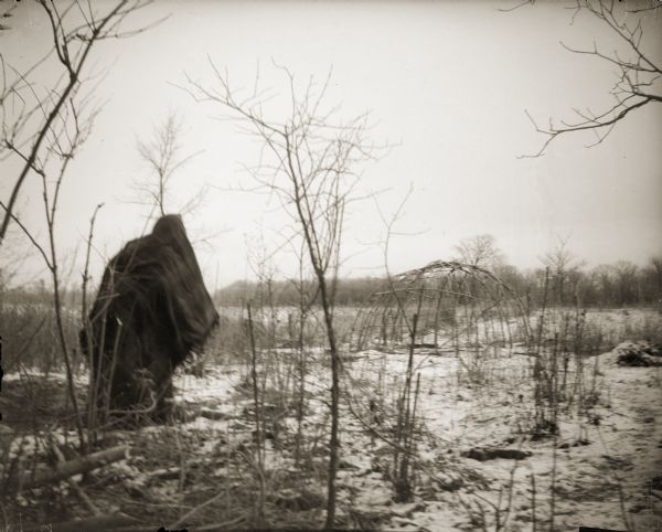 Winter scene with an unidentified person, probably Native American, wrapped in a blanket walking across the snow. In the background the wigwam poles (ciisu) of a chepotoke ciiporoke are in the distance.