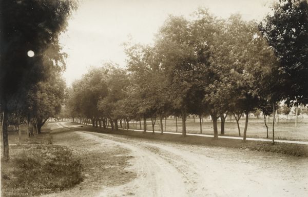 Tree-lined driveway on the grounds of the Winnebago County Asylum. Buildings are in the background behind the trees.