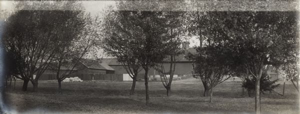 Outdoor view from grounds through trees of farm buildings, including a large barn.