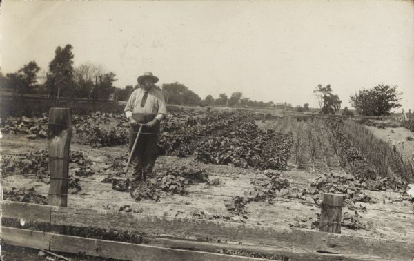 View over fence of a man wearing a hat using a tilling tool in a garden presumably belonging to the Winnebago County Asylum farm.