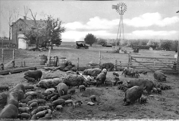 View of a pig pen on McDonald Stock Farm. A farmhouse, automobile and windmill are in the background. Text on photograph reads: "R.E. Cochrane."